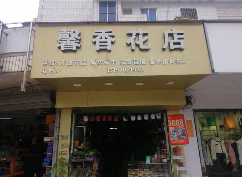 柳城馨香花店的圖標